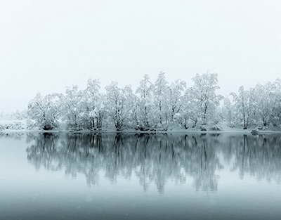 Центр Московского долголетия поможет оформить субсидии на оплату ЖКУ