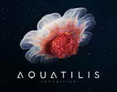 Стало известно, сколько россиян собираются продлить отпуск майскими праздниками