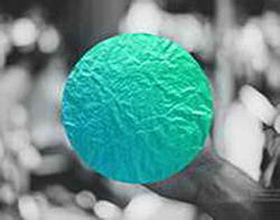 Путин: мы с Такером Карлсоном не договаривались о работе модератором на ПМЭФ