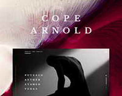 Золотые бразильские ноги: как в России тратят миллиарды на футбольные игрища