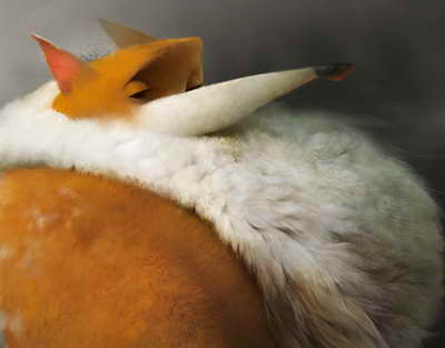 Какие деньги брать в Черногорию на отдых в 2024 году